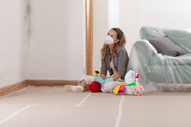 Reliable Basement Mold Remediation contractor in Burke, VA by WQB Mold Removal